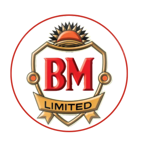 BM Cycles Group